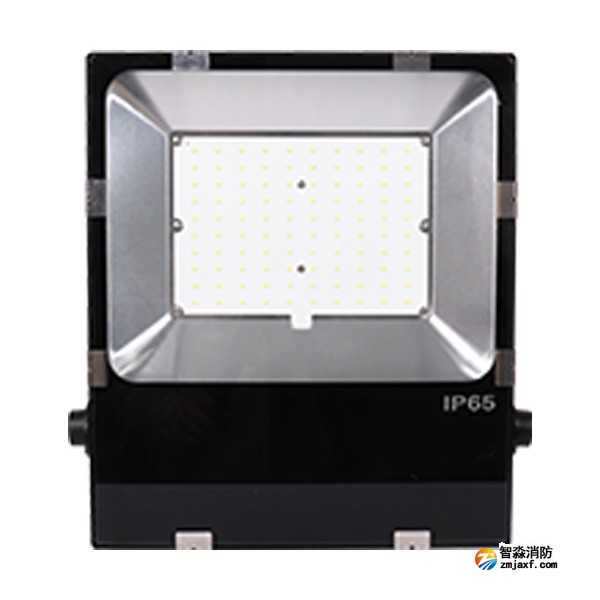 三江SJ-ZFJC-E100W/B011集中電源集中控制型消防應急照明燈具