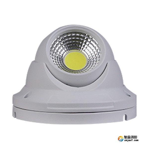 三江SJ-ZFJC-E5W/GZ011集中電源集中控制型消防應(yīng)急照明燈具