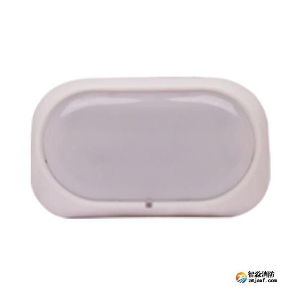 三江SJ-ZFJC-E3W/ZS34集中電源集中控制型消防應(yīng)急照明燈具（壁掛照明燈）