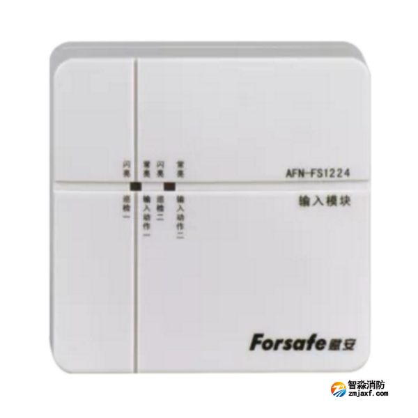 賦安AFN-FS1224雙輸入模塊