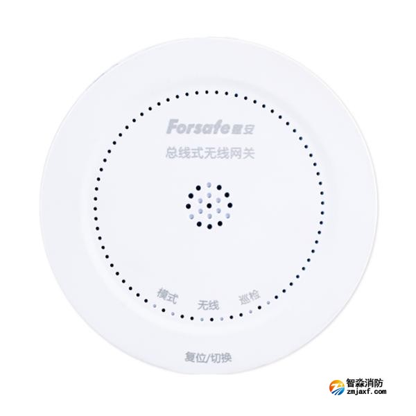 賦安FS9303總線式無(wú)線網(wǎng)關(guān)