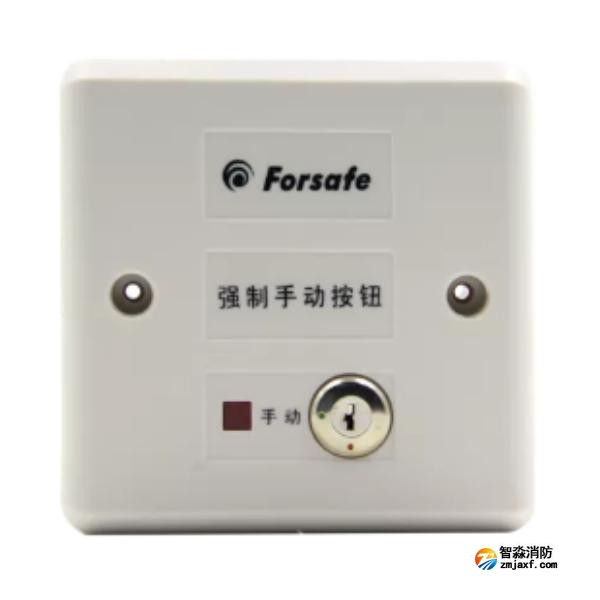 賦安FS1906強(qiáng)制手動(dòng)按鈕