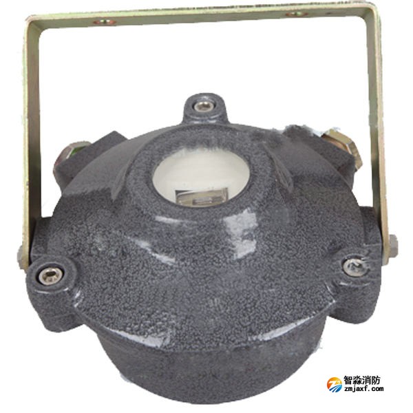 金鼎JTG-ZW-G1B防爆點(diǎn)型紫外火焰探測(cè)器