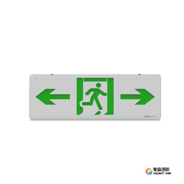 尼特NT-BLJC-2LRXOEII1W-1622集中電源集中控制型消防應急標志燈具