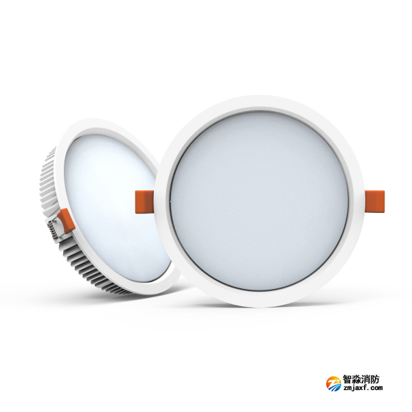 尼特NT-ZFJC-E12W-1313集中電源集中控制型消防應急照明燈具