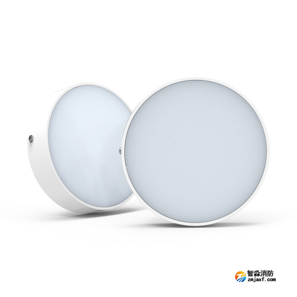 尼特NT-ZFJC-E8W-1310集中電源集中控制型消防應急照明燈具