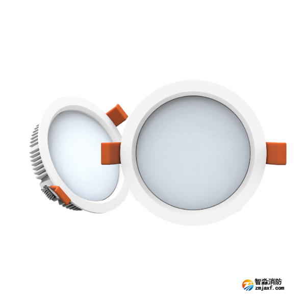 尼特NT-ZFJC-E5W-1309集中電源集中控制型消防應急照明燈具