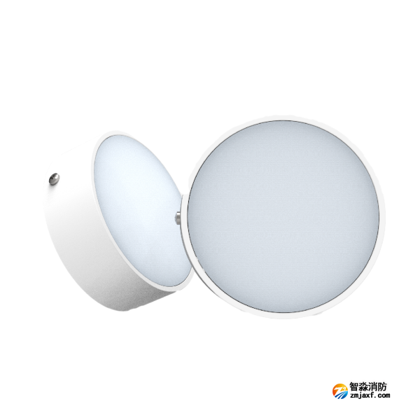 尼特NT-ZFJC-E5W-1308集中電源集中控制型消防應急照明燈具