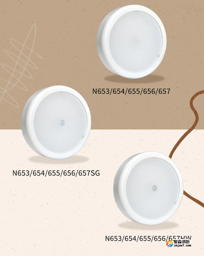 海灣消防N600二線制系列集中電源集中控制型消防應(yīng)急照明燈具產(chǎn)品型號