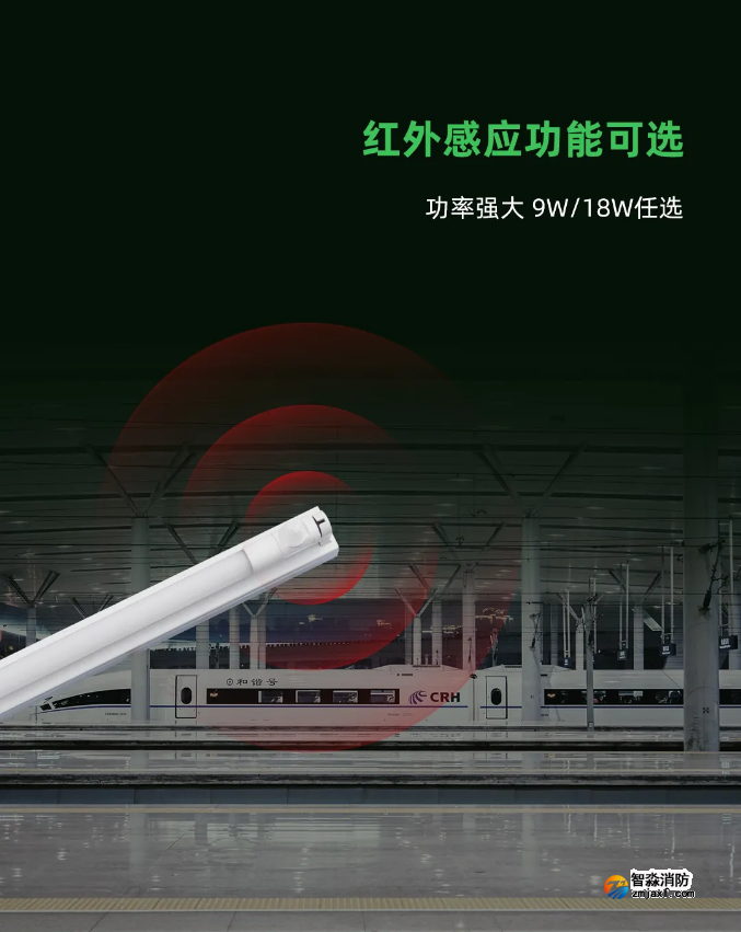 泰和安消防應(yīng)急照明燈具紅外感應(yīng)