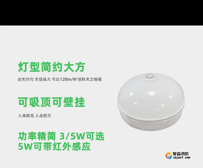 泰和安消防應(yīng)急照明燈具吸頂燈