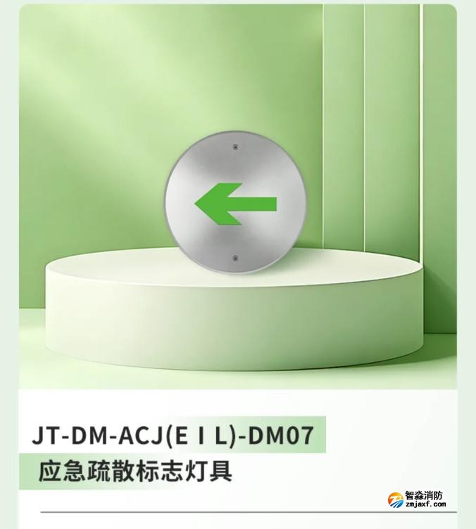 嘉泰新國標應急疏散標志燈