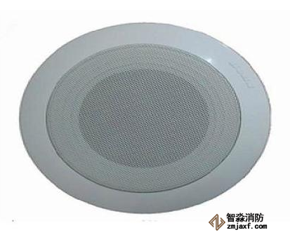 青鳥WY-XD5-6吸頂音箱(3W)