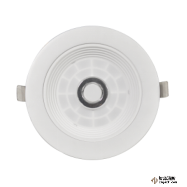 泰和安TS-ZFJC-E8W-6611集中電源集中控制型消防應(yīng)急照明燈具