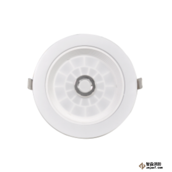 泰和安TS-ZFJC-E3W-6610集中電源集中控制型消防應(yīng)急照明燈具