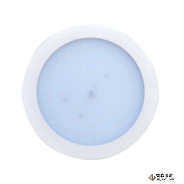 泰和安集中電源集中控制型消防應(yīng)急照明燈具TS-ZFJC-E5W-6613