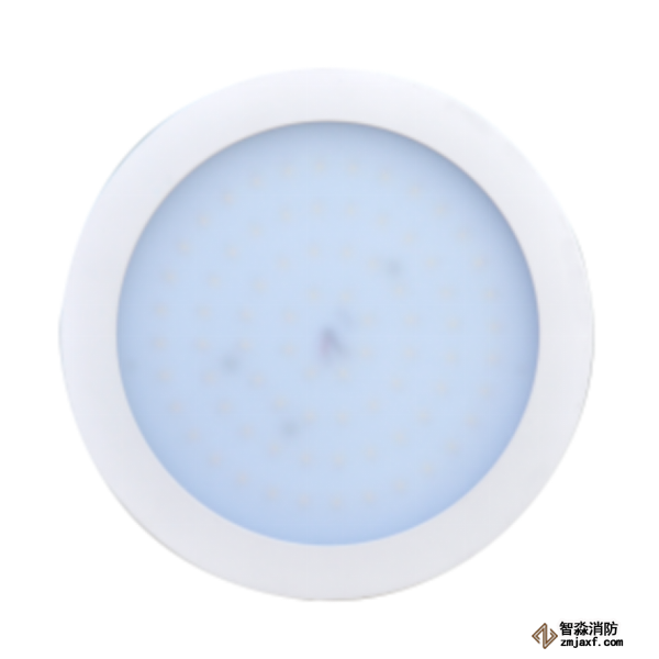 泰和安集中電源集中控制型消防應(yīng)急照明燈具TS-ZFJC-E12W-6614