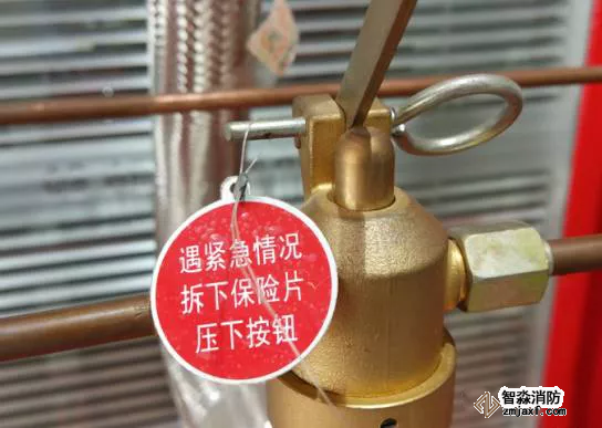 滅火劑瓶組保險銷